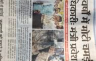 यांना 'सस्पेंड' केले पाहिजे