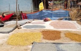 दुर्गम भागात सुरू आहे वाळवणीचे काम
