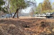 एरमनार फुलासाठी रकमेचा वाद कारणीभूत !