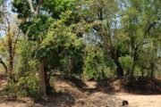 कोळसेपल्ली-एकरा दरम्यान पूल बांधा